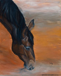 Schilderij paard Lily
