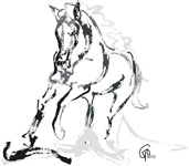 Digitaal schilderij paard andalusian angel