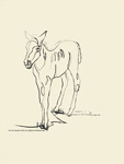 Digitaal schilderij paard Josje
